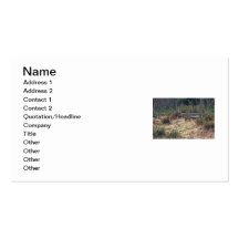 Picture of Bobcat Business Card