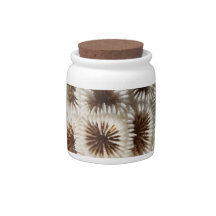 Picture of Coral. Candy Jars