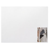Picture of Crows Letterhead Template