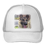 Picture of German Shepherd  Baseball Hat