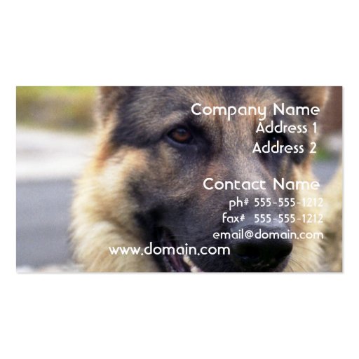 Picture of German Shepherd Business Card (front side)