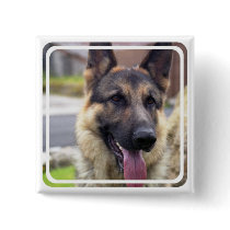 Picture of German Shepherd  Button