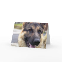 Picture of German Shepherd  Greeting Card