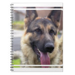 Picture of German Shepherd Notebook