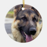 Picture of German Shepherd Ornament