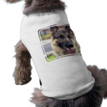 Picture of German Shepherd  Pet Shirt