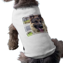 Picture of German Shepherd  Pet Shirt