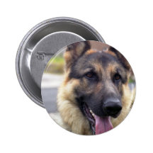 Picture of German Shepherd Pin