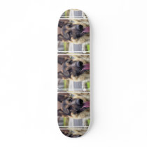 Picture of German Shepherd Skateboard