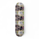 Picture of German Shepherd Skateboard