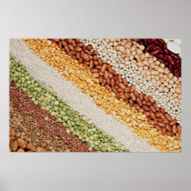 Picture of Group of pulses Print