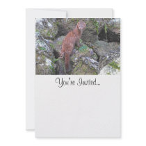 Picture of Mink Personalized Announcements