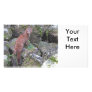 Picture of Mink Picture Card