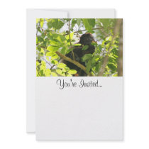 Picture of Monkey Eating Personalized Invites
