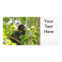 Picture of Monkey Eating Photo Cards