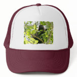 Picture of Monkey with Mouth Open hats