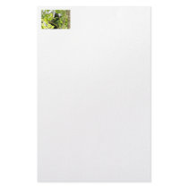 Picture of Monkey with Mouth Open Stationery Paper