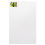 Picture of Monkey with Mouth Open stationery