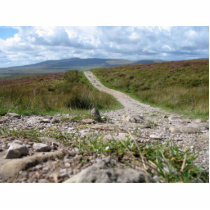 Picture Of Path In Lake District Taken From The Gr photo sculptures
