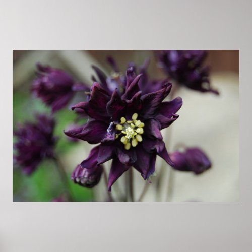 Picture of Purple Flower print