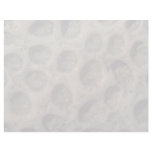 Picture of Sea shells, Trinidad Letterhead Template