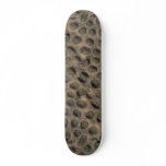 Picture of Sea shells, Trinidad Custom Skateboard