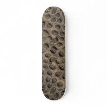 Picture of Sea shells, Trinidad Custom Skateboard