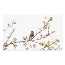 Picture of Sparrow Singing in Flowering Tree Stickers