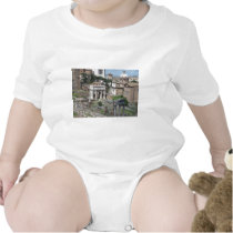 Picture of the Roman Forum t-shirts