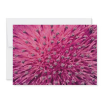 Picture of Thistle head, macro Custom Invites