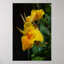 Picture of Yellow Flower posters