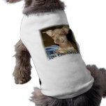 Picture or Video 2333, ZEN CHIHUAHUA Dog Tee Shirt