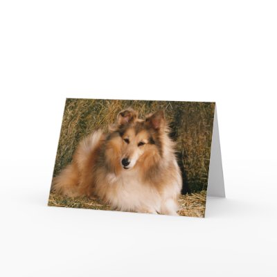 Picture Perfect Cute Puppy Dog Card by mickeyelvis128