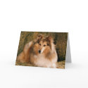 Picture Perfect Cute Puppy Dog cards by mickeyelvis128 Picture Perfect Cute Puppy Dog cards