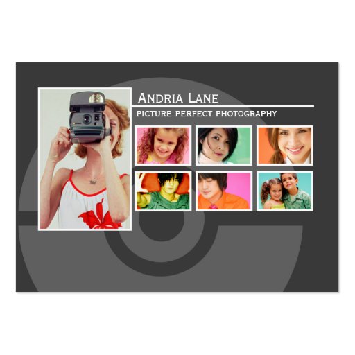 Picture Perfect Portfolio Chubby Business Cards
