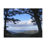 Picture Perfect View Postcard