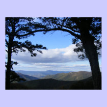 Picture Perfect View posters