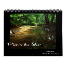 Picture the Year - 2011 Wall Calendar