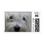 Pictures of Maltese Postage Stamp