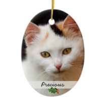 Pictures of Pets, Double-Sided Ornament ornaments