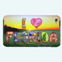 Picturesque and Colorful  I *Heart* Florida Cover casemate cases