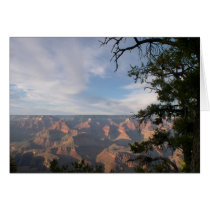 Picturesque cards