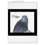 Pidgie Fund Logo cards