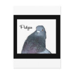 Pidgie Fund Logo postcards