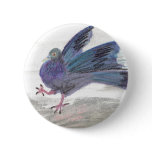 Pidgie Pigeon of the Pidgie Fund