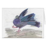Pidgie Pigeon of the Pidgie Fund Pidgie Pigeon of the Pidgie Fund