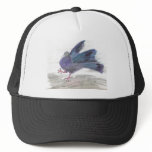 Pidgie Pigeon of the Pidgie Fund Pidgie Pigeon of the Pidgie Fund