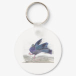 Pidgie Pigeon of the Pidgie Fund
