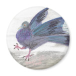 Pidgie Pigeon of the Pidgie Fund Pidgie Pigeon of the Pidgie Fund