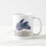Pidgie Pigeon of the Pidgie Fund
